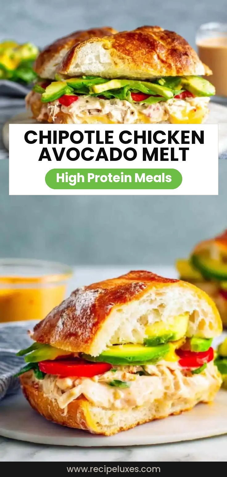 Chipotle Chicken Avocado Melt